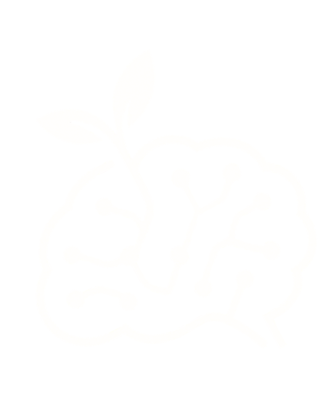 MyMindSeed Logo